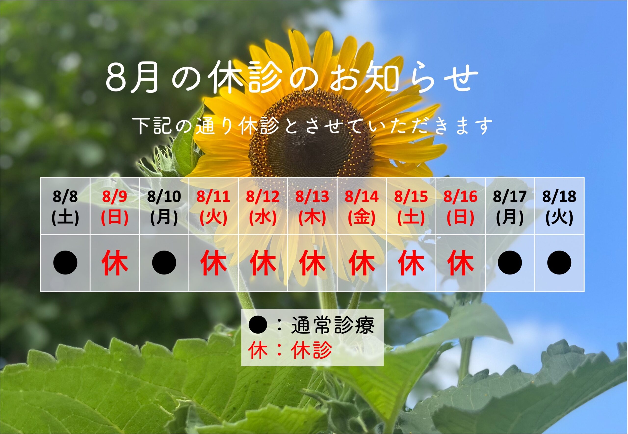 8月の休診のお知らせ